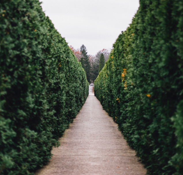 blog-2 blog-2